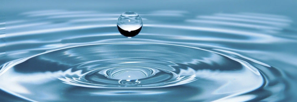 Startseite_Fortbildungen Fortbildungen Vorträge Kränkungen Narzissmus Trauma